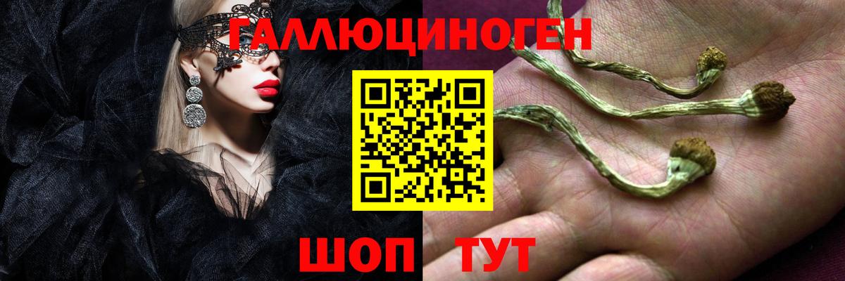 купить наркотики цена  Вход с VPN  Переславль-Залесский  Псилоцибиновые грибы MAGIC MUSHROOMS 